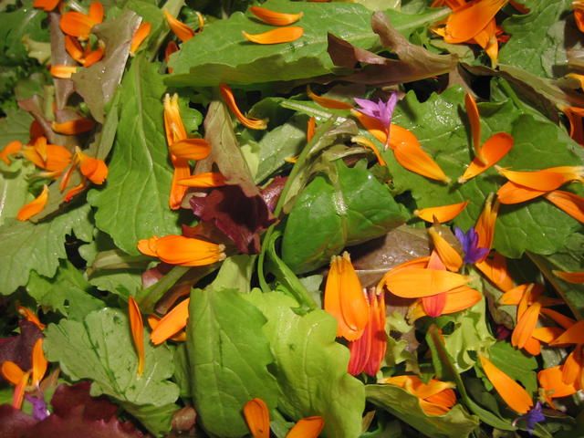 Abby's Greens