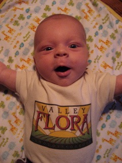 Pippin!