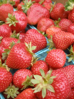 Strawberries Galore!