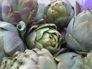 Artichokes