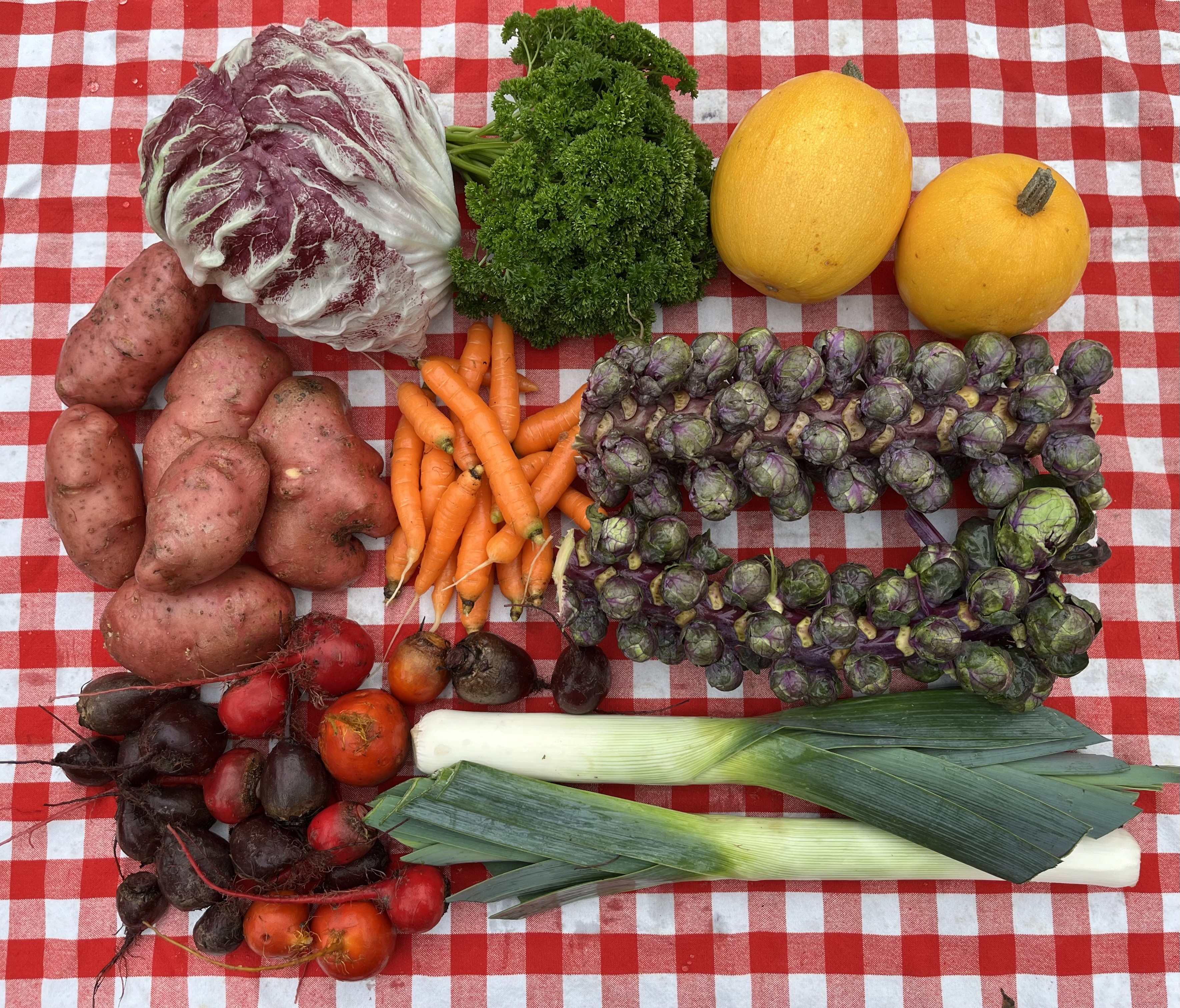 Mess-Free Peeler For Veggies & Fruits - Inspire Uplift