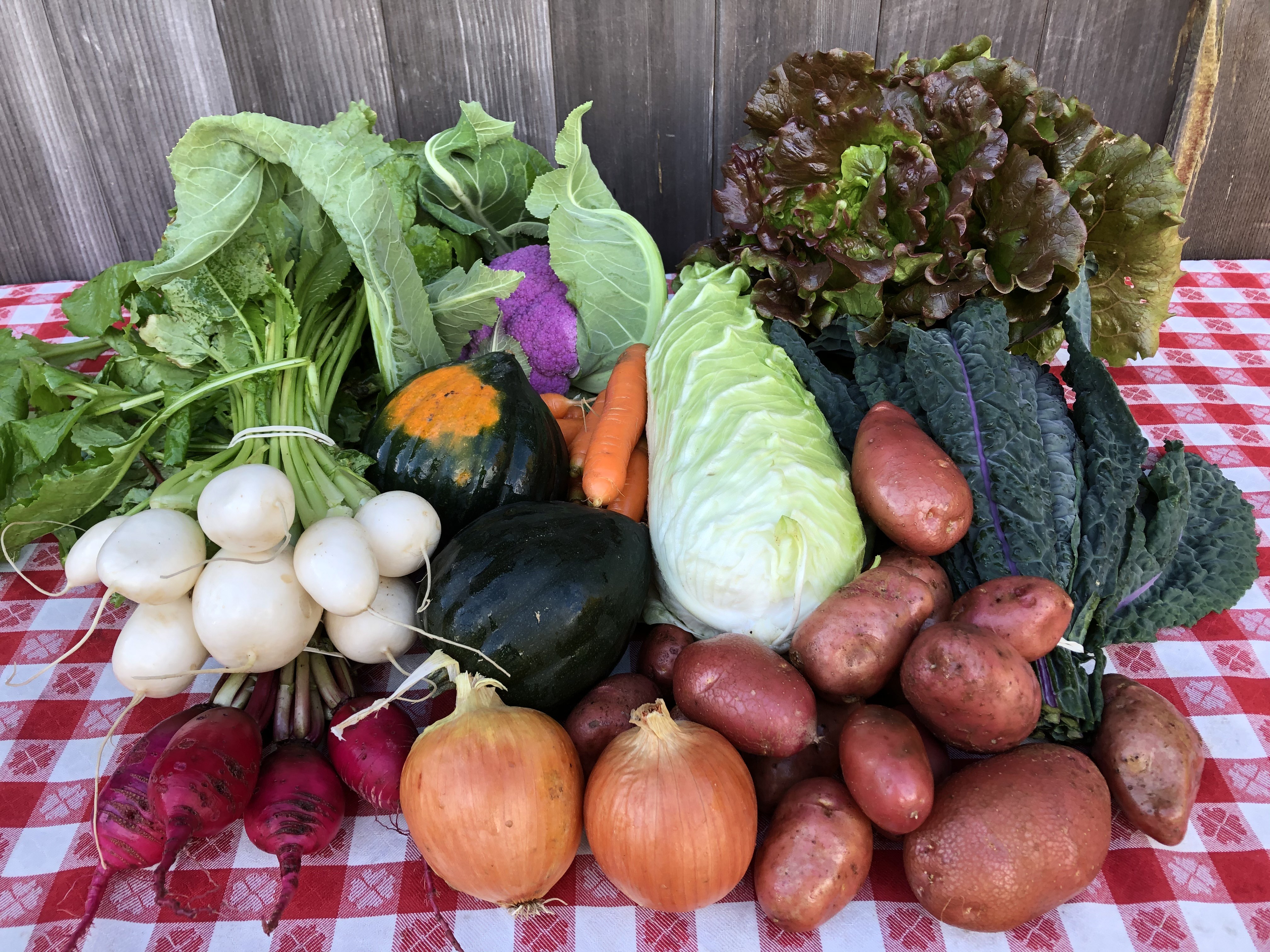  Shallots, 1 Pound, Freshly Harvested, Large to Medium Size,  Restaurant Qulaity, Great for cooking with a succulent flavor, a gourmet  delight.The amount of shallots depends on size & weight shallot. 