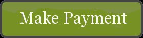 Make a payment