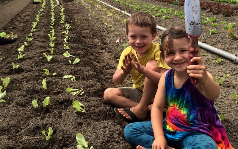 Kids Transplanting