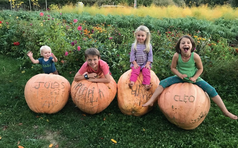 Giant Pumpkins