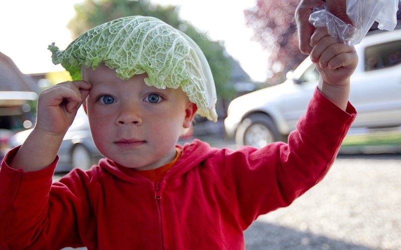 Pippin Cabbage Leaf