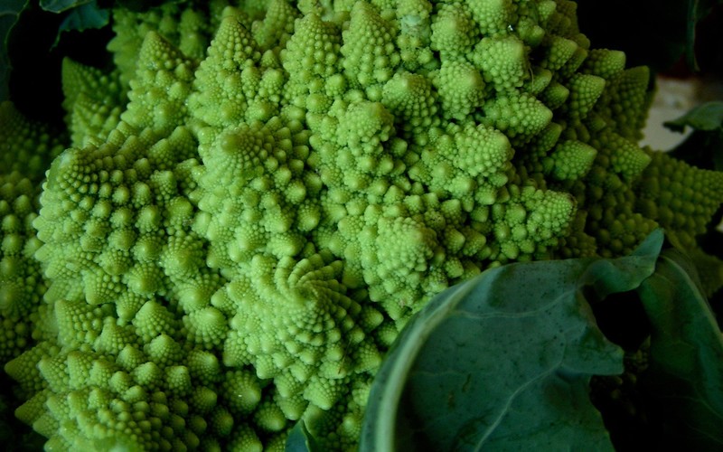 Romanesco